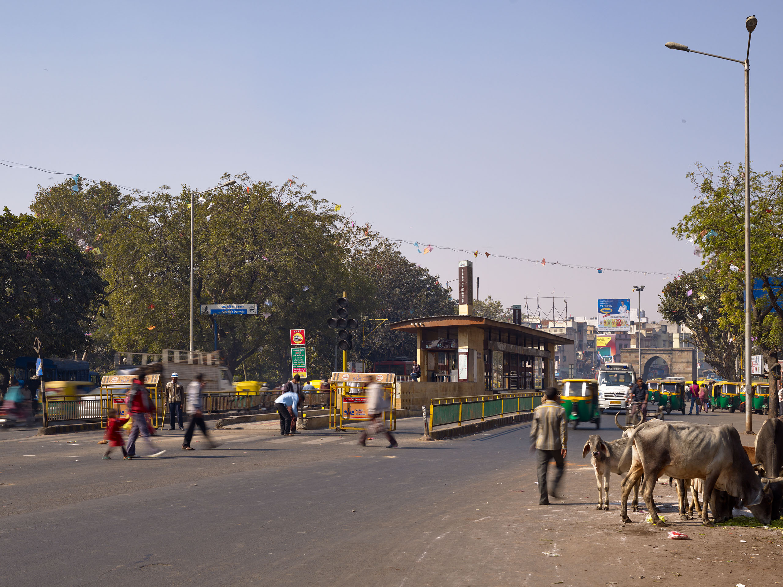 E14492 Alpa 042621 j2560